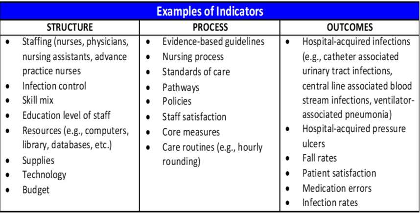 <ul><li><p>Assessments</p></li><li><p>Interventions (meds given, nursing actions, etc)</p></li><li><p>RN job satisfaction (?)</p></li></ul><p>Are nursing activities/care being done appropriately, effectively, and efficiently?</p><p></p>