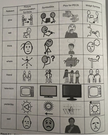 <p>aided AAC</p><p>visual representations such as photographs, line drawings, and symbolic icons can be used to represent vocabulary and ideas in aided AAC</p>
