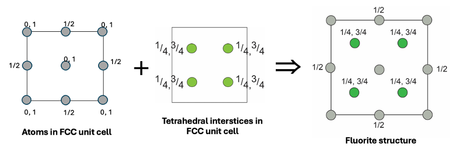 <p>CCP lattice of Ca<sup>2+</sup></p><p>F<sup>-</sup> ions occupy tetrahedral holes </p><ul><li><p>fluoride ions smaller so fill interstices </p></li></ul><p></p>