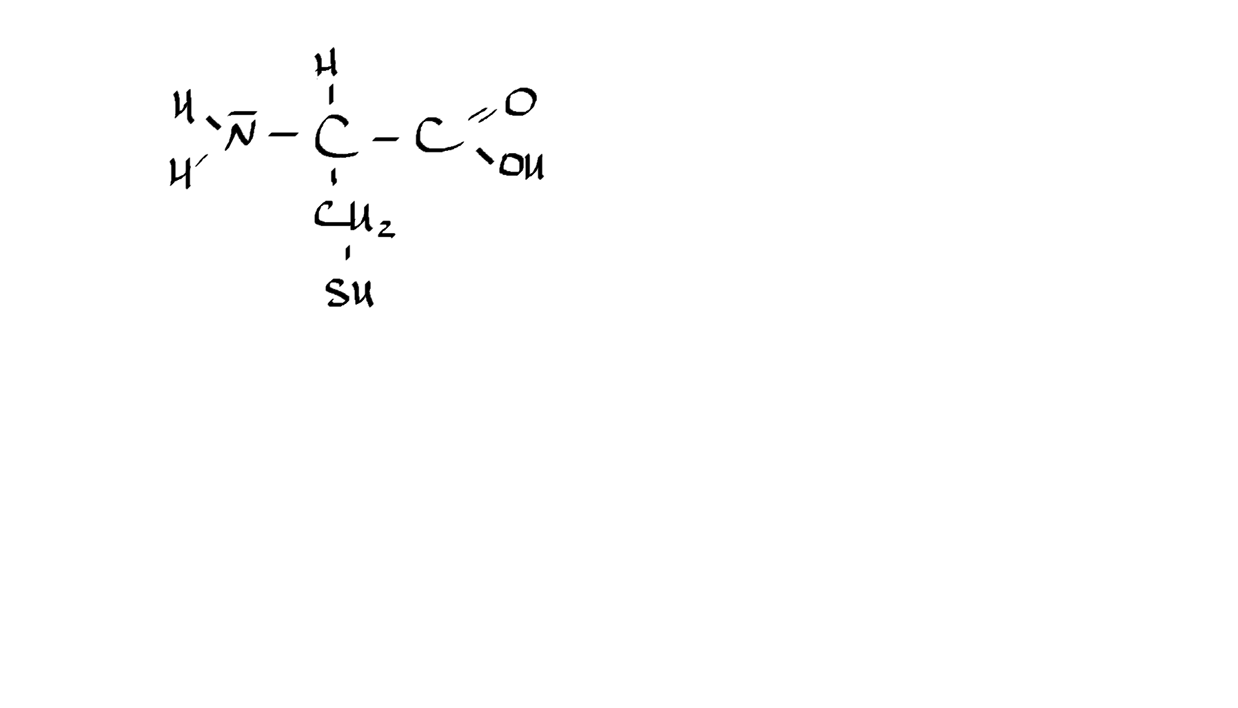 <p>Welche Aminosäure ist das?</p>