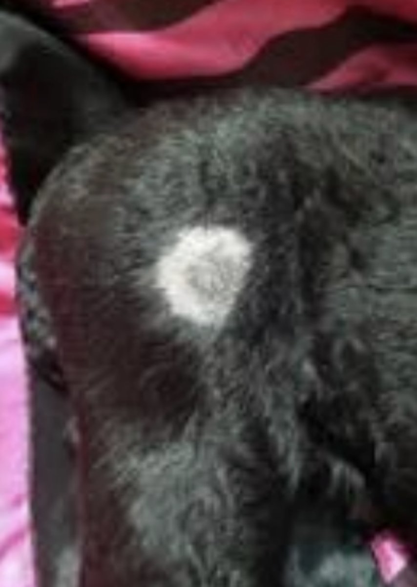 <p>What is this?</p>
