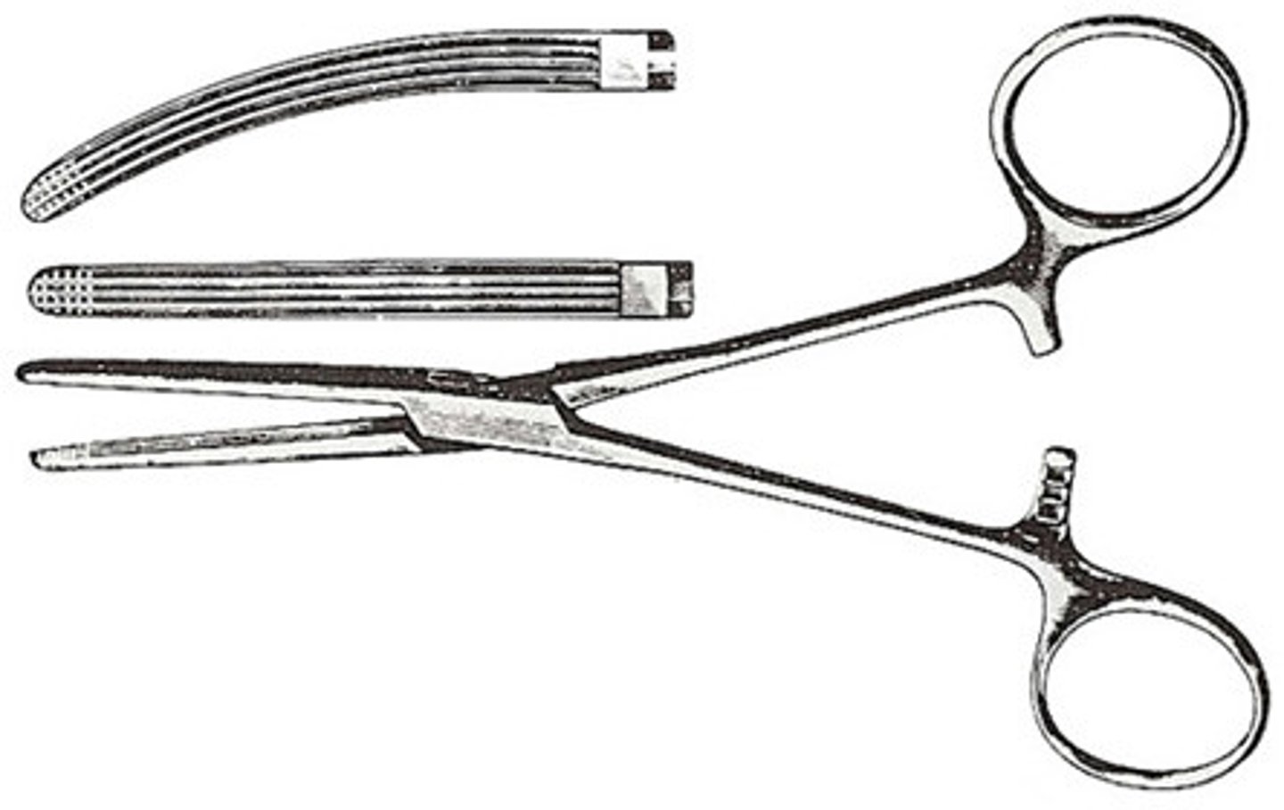 <p>Longitudinally oriented serrations designed to grab tissue with the clamp pointing away</p>