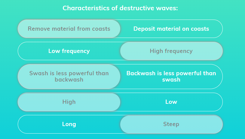 <ul><li><p>responsible for erosional processes</p></li><li><p>high frequency (10-15 waves per minute)</p></li><li><p>steep and high, with a circular motion so waves break at a greater height, causing the wave to ‘plunge’ and travel a shorter distance along the beach</p></li><li><p>removes material from coasts because the swash is less powerful than the backwash</p></li></ul>