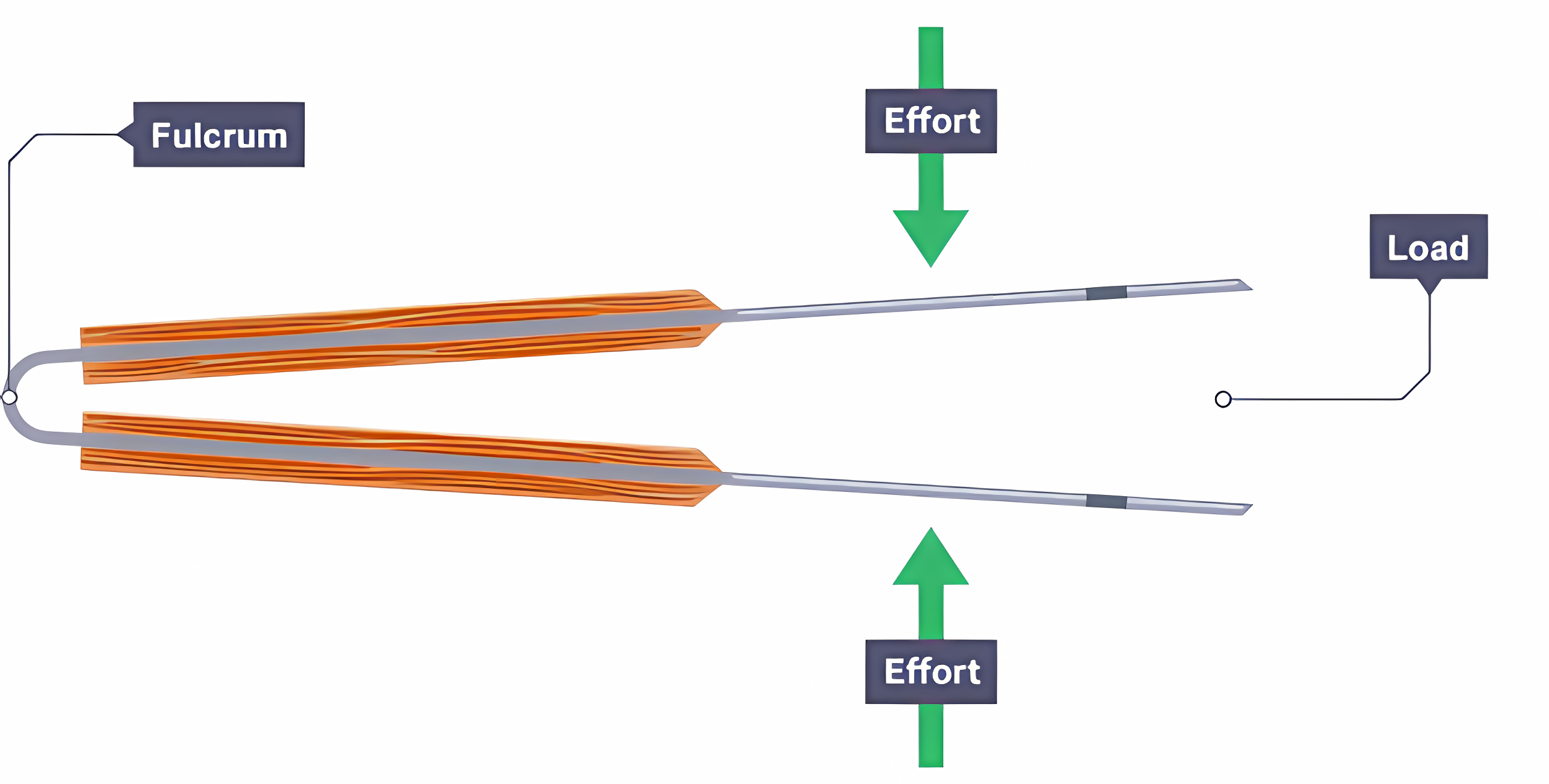 <p>The pivot (fulcrum) is at one end, and the load is at the opposite end. The effort is in the middle. (E.g. Tweezers or fishing rods)</p>