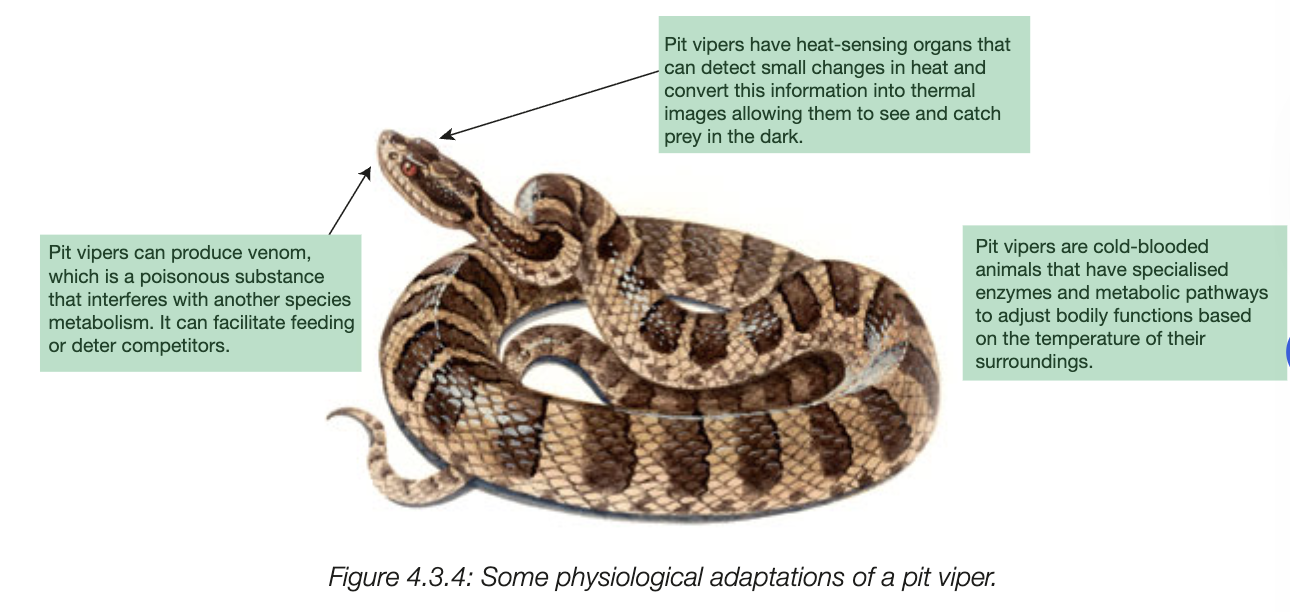 <ul><li><p>geerally based on features that arent visible</p></li><li><p>generally associated w metabolic processes, usually based on body chemistry and other processes that enhance survival and reproductoin</p></li></ul><p><br>E.G.</p><ul><li><p>desert animals excrete concnentratd urine to conserve water</p></li><li><p>secretion of tozins by plants to assist defence</p></li><li><p>sense of smell of wolves assist huntings</p></li><li><p>oxycoin horomone in humans promote bonding, breastfeeding increases oxytocin release in both mum and baby</p></li></ul><p></p>