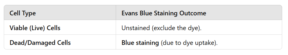 <ul><li><p><strong>Evans Blue is an anionic dye</strong> that cannot cross <strong>intact cell membranes</strong>.</p></li></ul><ul><li><p><strong>Live (viable) cells</strong> exclude the dye and <strong>remain unstained</strong>.</p></li><li><p><strong>Dead or damaged cells</strong> have <strong>compromised membranes</strong>, allowing the dye to enter and bind to cytoplasmic components, resulting in <strong>blue staining</strong>.</p></li></ul><p></p>