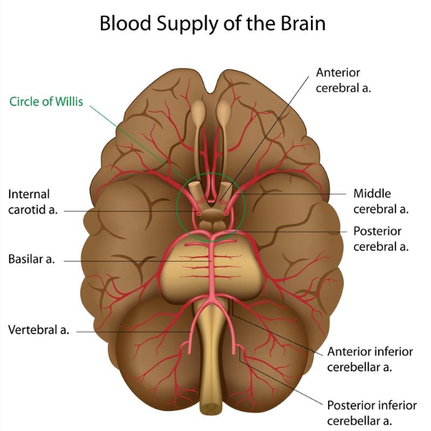 <p>Top Right</p>