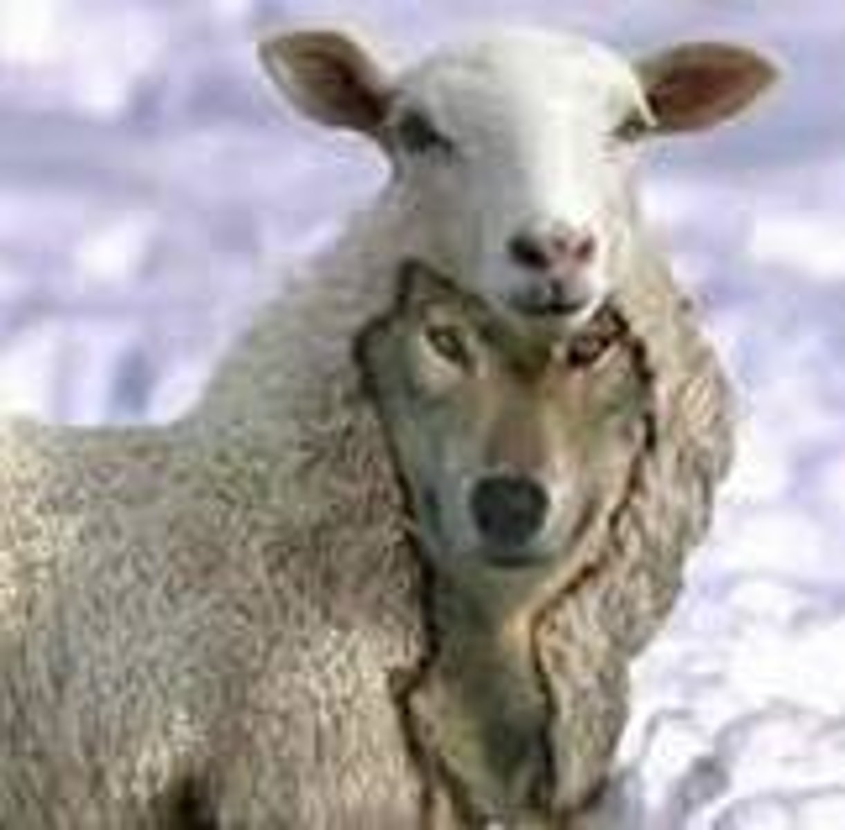 <p>A deliberate deception intended to secure an unfair or unlawful gain</p>