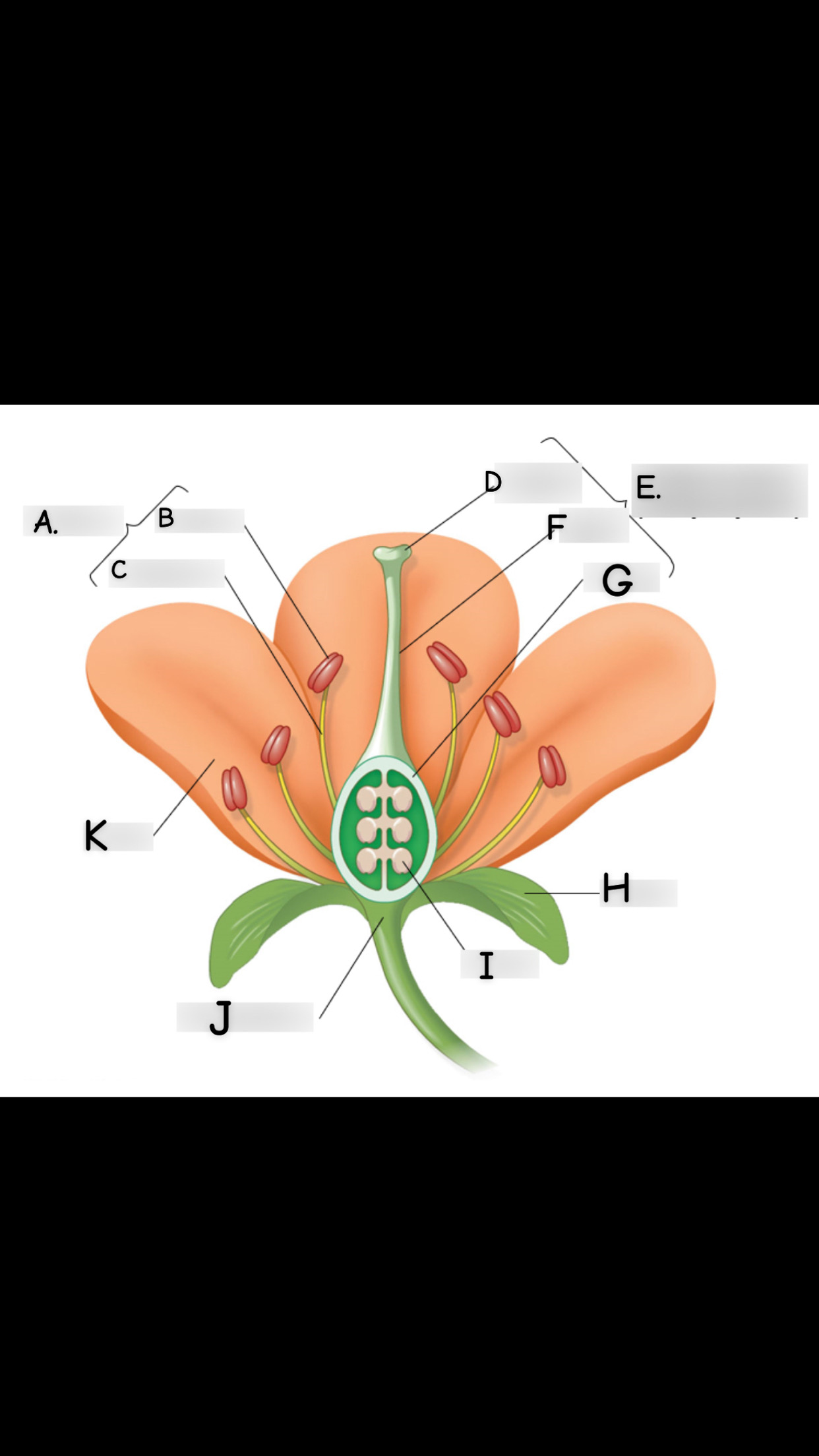 <p>what is C</p>
