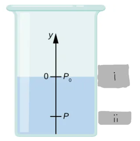 <p>(i)</p>