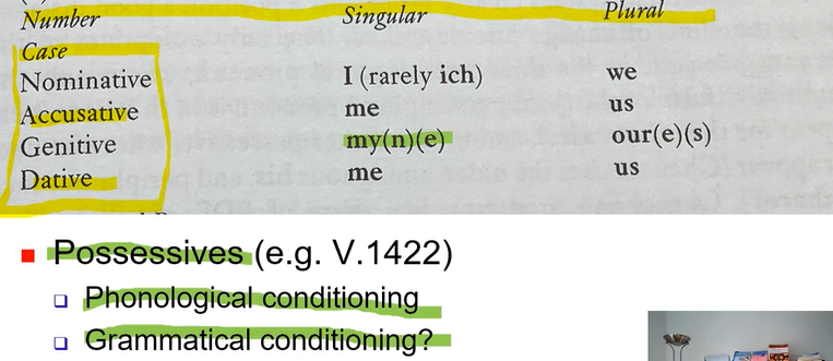 <p>Posessives:</p><p>phonological conditioning: environment determines form</p><p>grammatical conditioning: tells about word class/ grammatical environment </p>