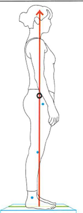 <ul><li><p><span style="color: red;">Hip – slightly <strong>POSTERIOR </strong>(EXT moment)</span></p></li><li><p><span style="color: red;">Knee – slightly <strong>ANTERIOR </strong>(EXT moment)</span></p></li><li><p><span style="color: red;">Ankle – slightly <strong>ANTERIOR </strong>(DF moment)</span></p></li></ul><p></p>