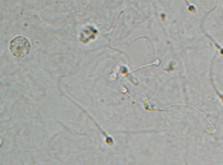 <p>What is this?</p>