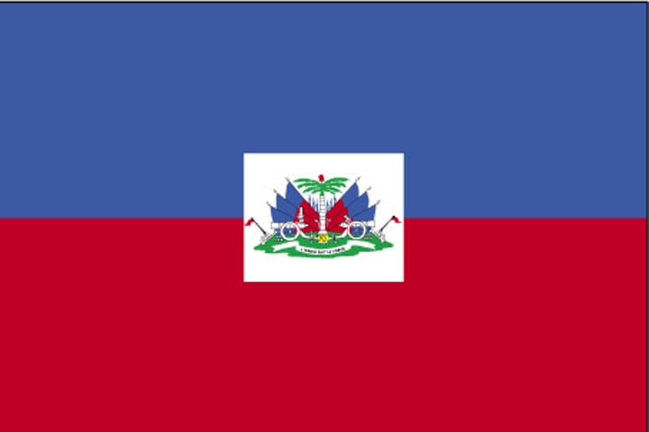 <p>Lore: revolutionary leader Jean-Jacques Dessalines created the flag by taking a French tricolor and ripping out the white center.</p><p>Blue = the Black African citizens.</p><p>Red = the gens de couleur (free people of color).</p><p>Trophy of weapons atop a green hill and a royal palm topped by the Cap of Liberty = independence.</p><p>Motto = L'Union fait la Force ("Unity makes strength").</p>