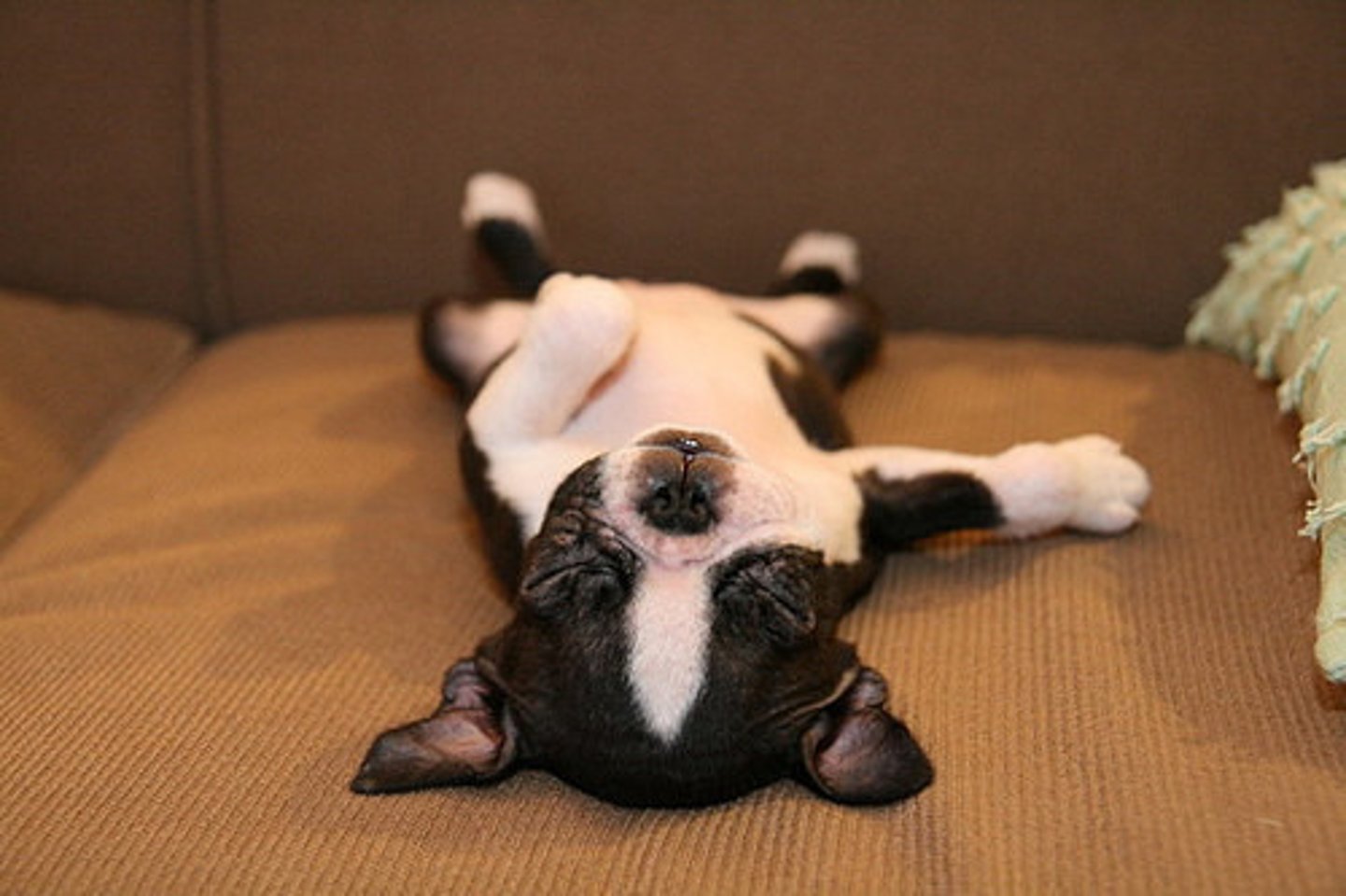 <p>to sleep (shuì jiào)</p>