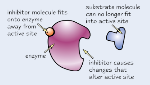 <ul><li><p>Bind to enzyme <strong>away from active site</strong></p><ul><li><p>→ active site <strong>changes shape</strong></p></li><li><p>→<strong> </strong>substrate can’t bind</p></li></ul></li></ul><p></p>