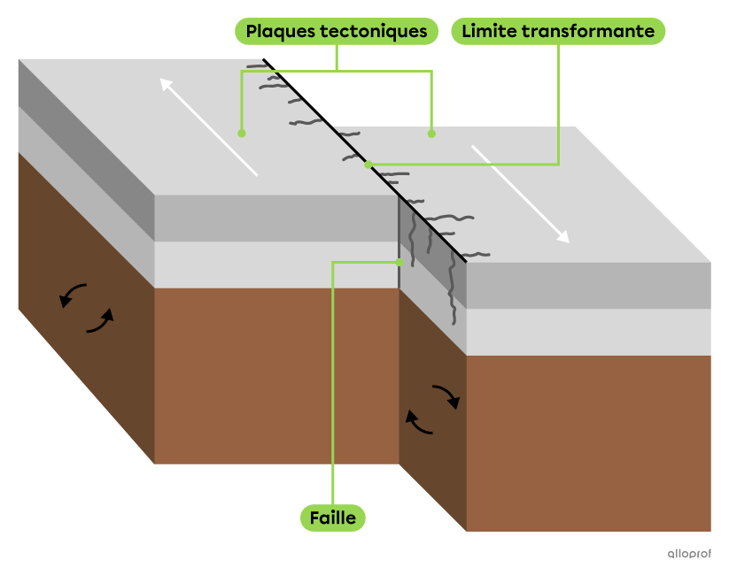 <p>Deux plaques tectoniques se frottent l’une contre l’autre lorsqu’elles se dirigent dans des directions parallèles et opposées. La limite entre deux plaques tectoniques en frottement est appelée une limite transformante. &nbsp;</p><ul><li><p>Le plan sur lequel deux plaques tectoniques frottent l’une sur l’autre est appelé une <em>faille</em>.&nbsp;</p></li><li><p>Le frottement le long de la faille dégage d’énormes quantités d’énergie, ce qui peut provoquer des tremblements de terre.</p></li></ul><p></p>
