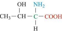 <p>ID this structure</p>