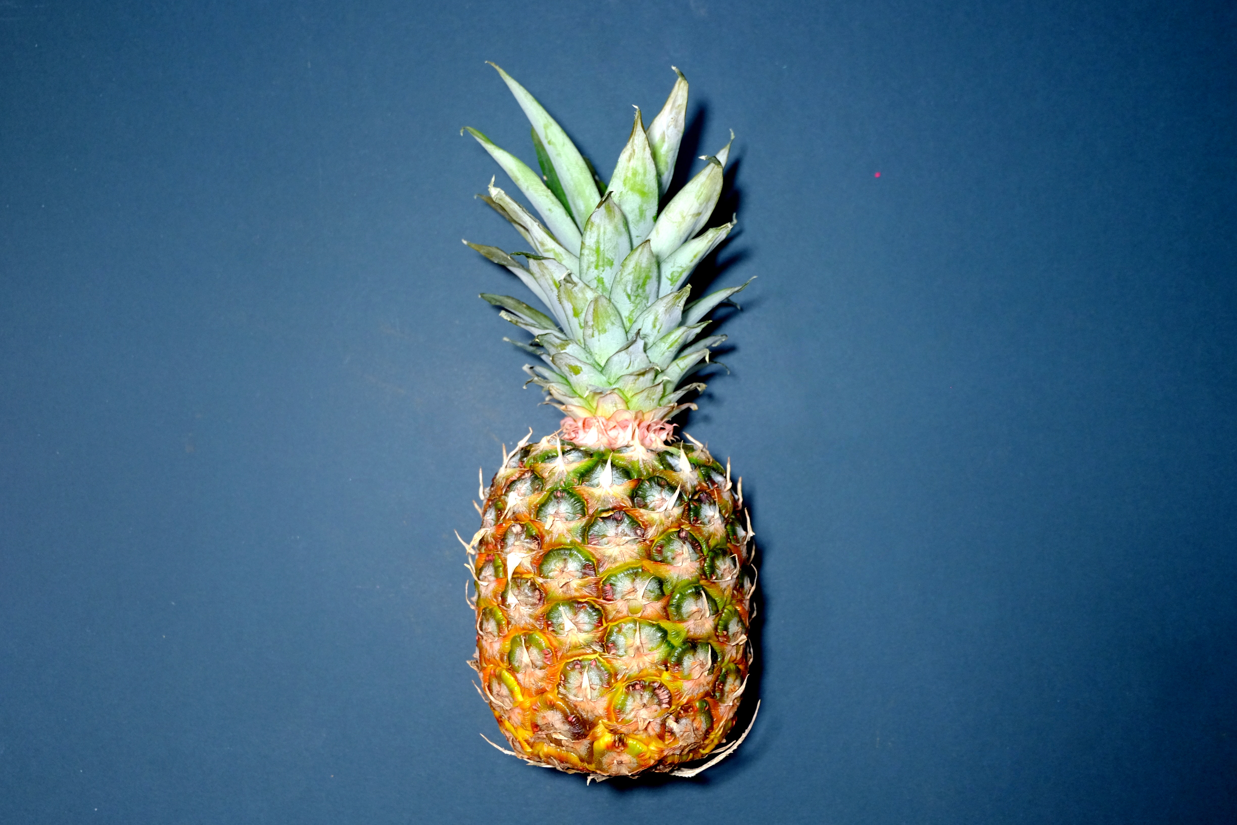 die Ananas
