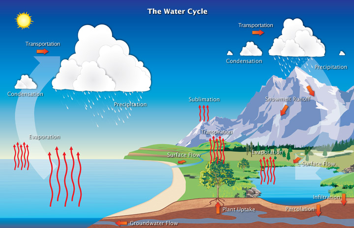 <p>The water cycle, is a biogeochemical cycle that involves the continuous movement of water on, above and below the surface of the Earth.</p>