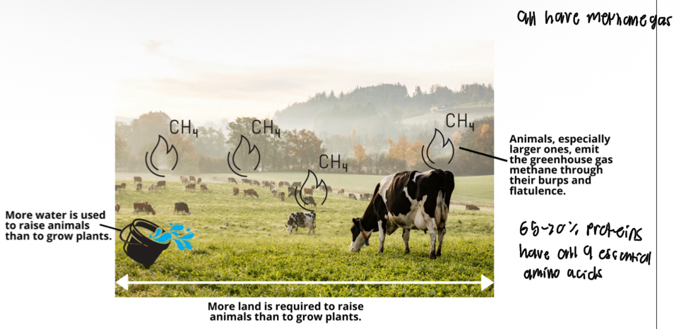 <p>Environmental. Grown + cultivated for consumption </p>