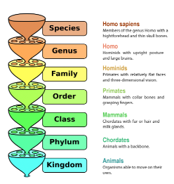 <p>A group of organisms with similar characteristics that are capable of interbreeding. The offspring have to be fertile offspring. </p>