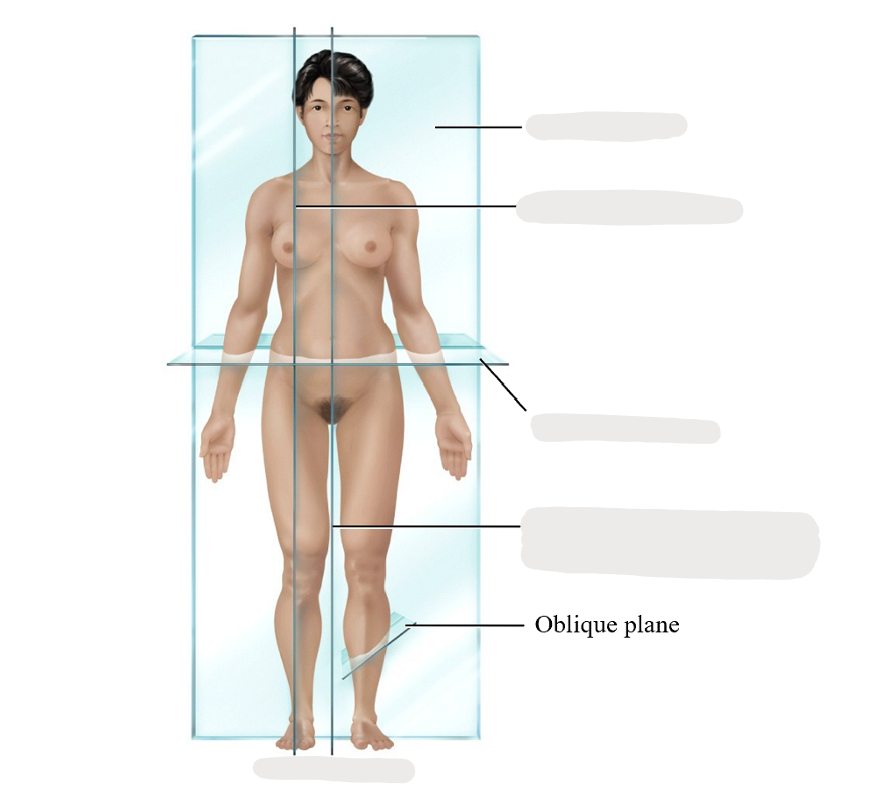 <p>unnormal/out of body</p>