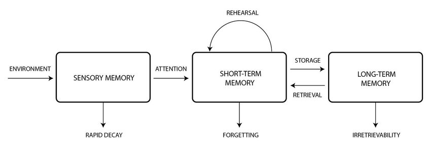 <p>provides a framework to understand how information can flow through these systems </p>