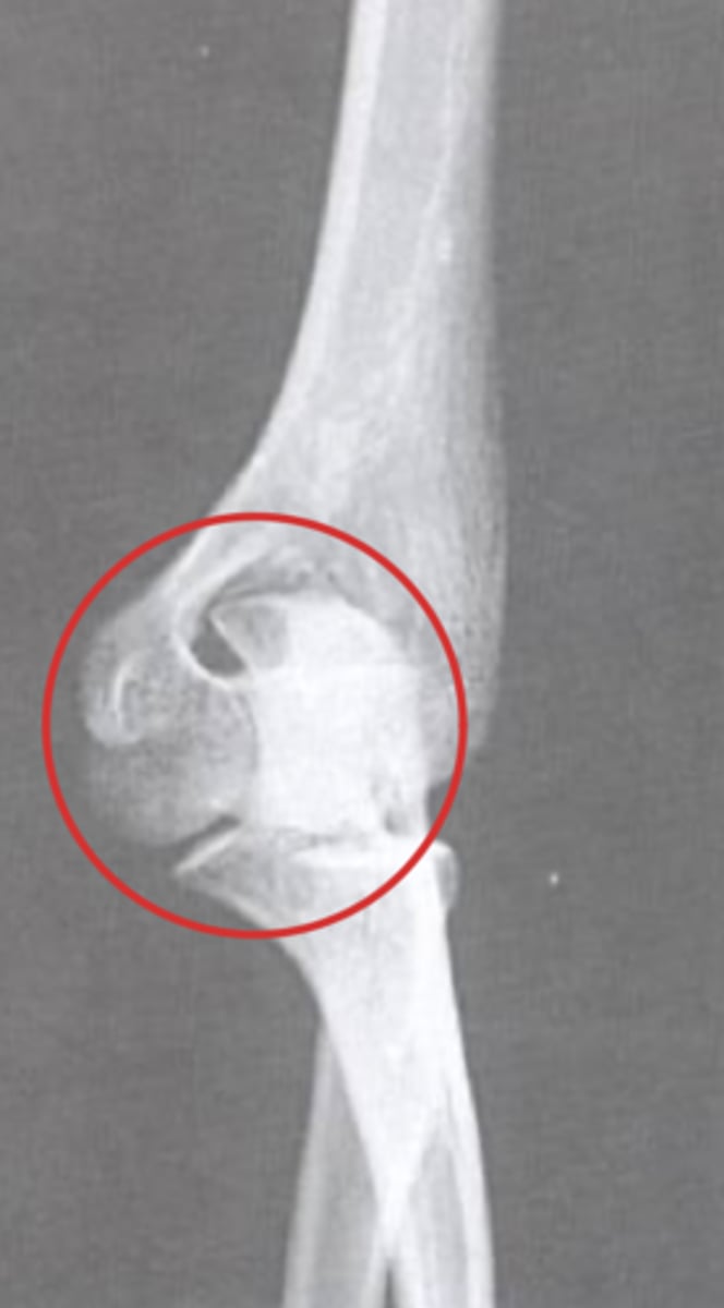 <p>What view is this?</p>