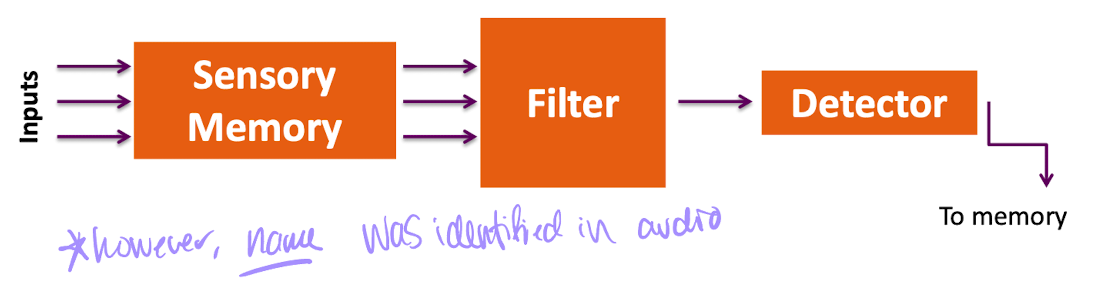 Broadbent’s Filter Model