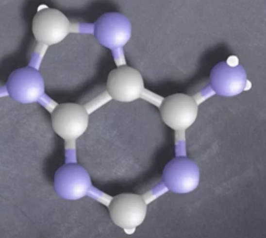 <p>What is this called?-DNA question.</p>