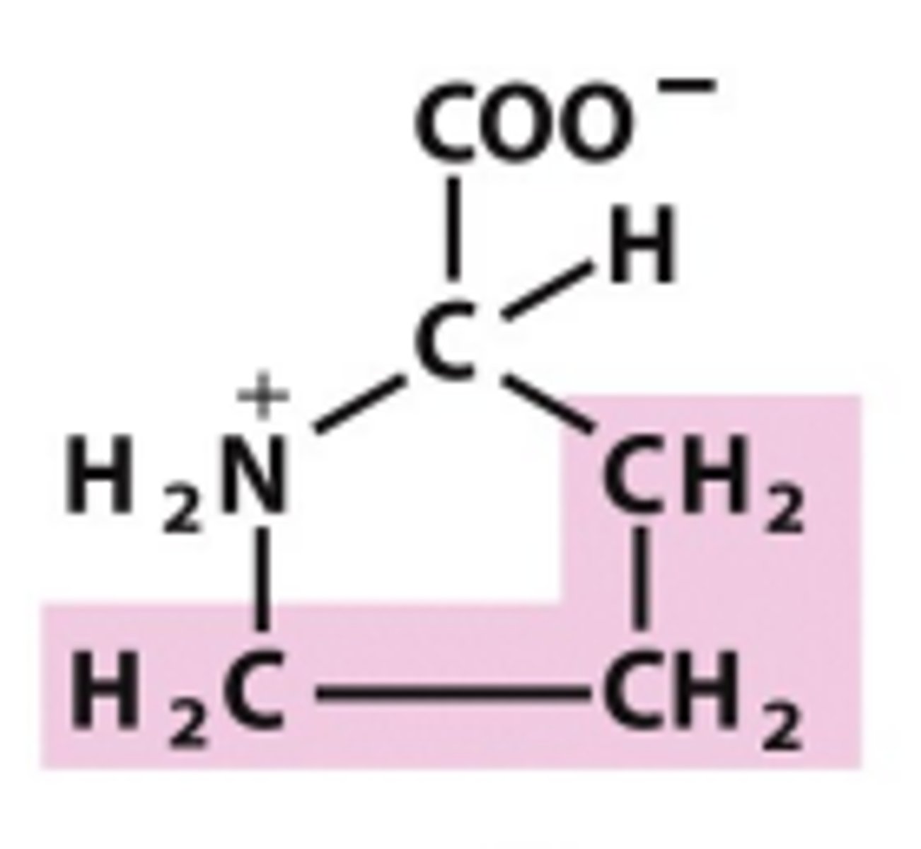 <p>Which amino acid is this?</p>