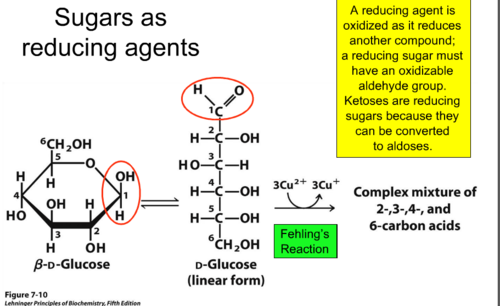 ~ All monosaccharides 
~ Some disaccharides - Maltose & Lactose