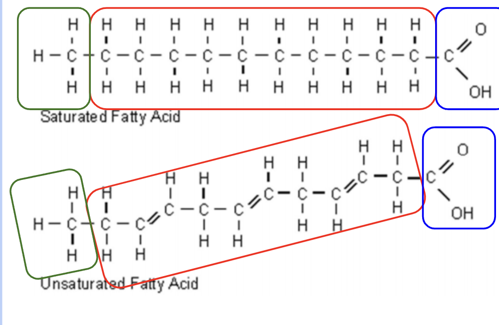 <ul><li><p><span style="font-family: Arial, sans-serif">long hydrocarbon chain of varying length</span></p></li><li><p><span style="font-family: Arial, sans-serif">with a COOH group (“carboxyl”) at one end</span></p></li><li><p><span style="font-family: Arial, sans-serif">and a CH</span><span><sub>3</sub></span><span style="font-family: Arial, sans-serif"> (“methyl”) group at the other end.</span></p></li></ul><p></p>