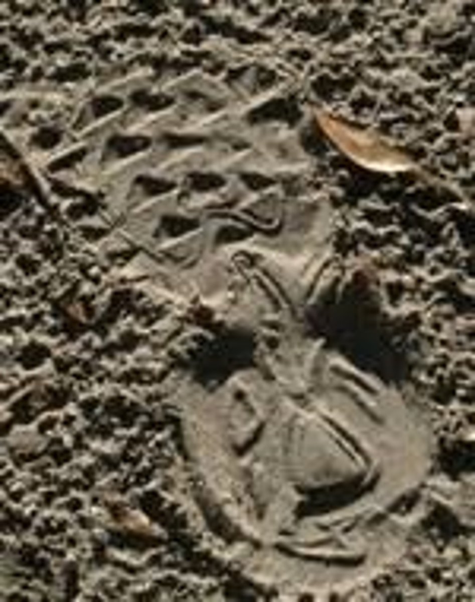 <p>Fingerprints, imprints, tool marks, glass, soil, fibers, bullets, shell casings, drugs, etc.</p>