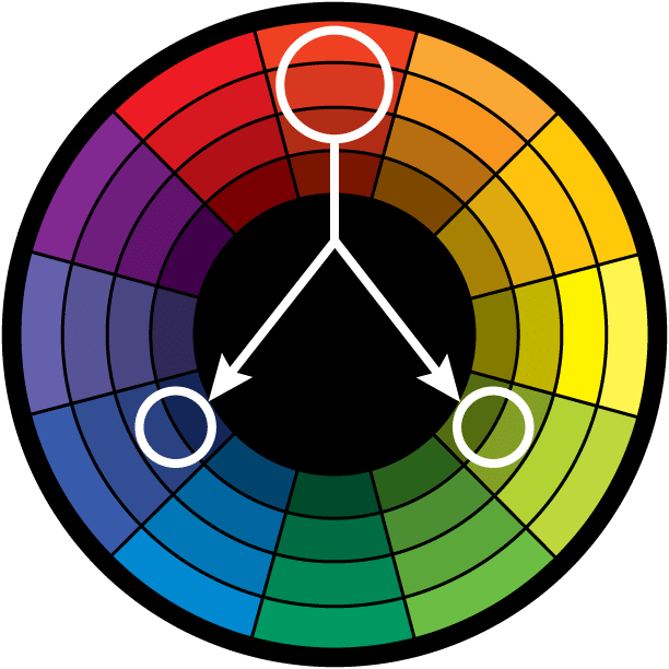 <p>What is Color Theory?</p>