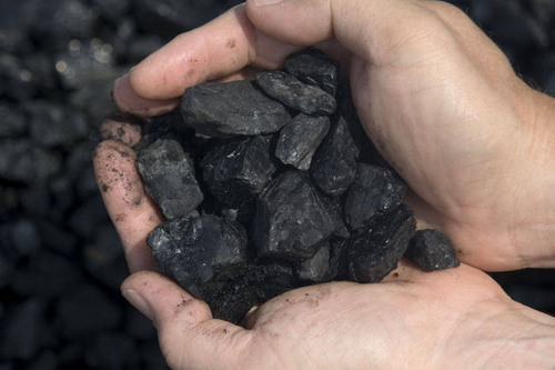 <p>coal</p>