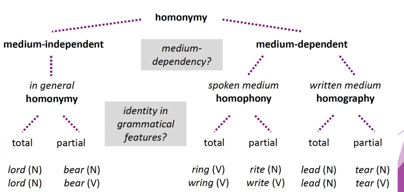 <p>Two words that overlap in form, but differ in meaning.</p>