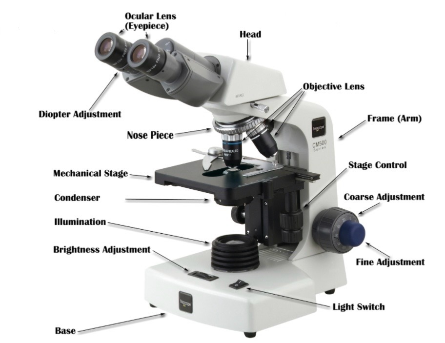 <p>Which Microscope is this?</p>
