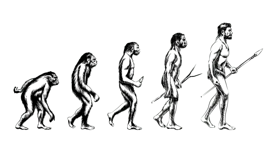 <p><strong>Anthropology</strong></p>