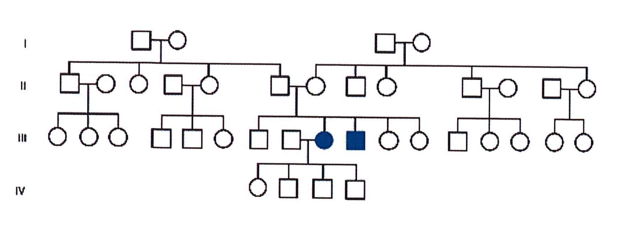 <p>Xác định kiểu di truyền trong cây phả hệ sau:</p>