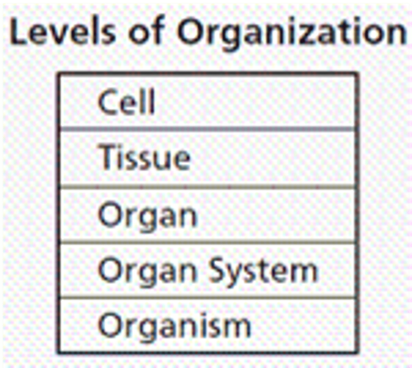<p>5 levels in a living body - 1.cell, 2. tissue, 3.organ, 4.organ system, 5.organism</p>