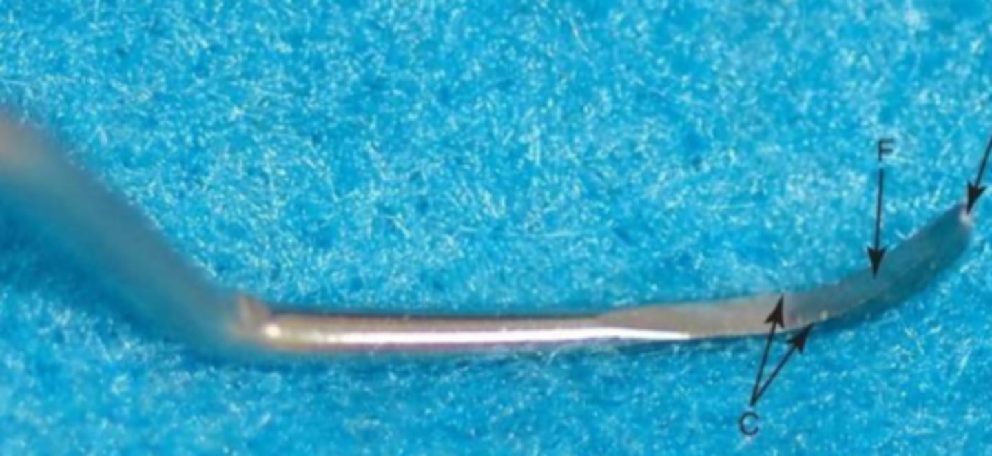 <p>This tool is used to remove calculus both supragingivally and subgingivally</p><p>- contains two sharp sides and a round toe/point</p>