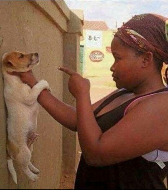 <p>What does the 8th Amendment prohibit?</p>