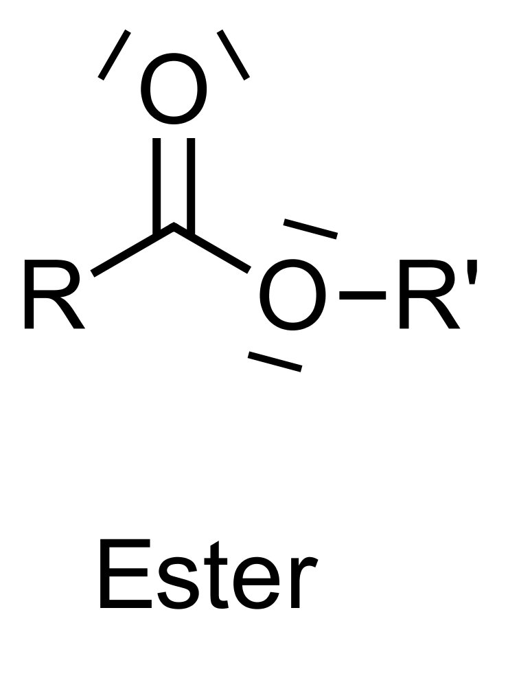 <p>C. Carboxylic acid ester</p>