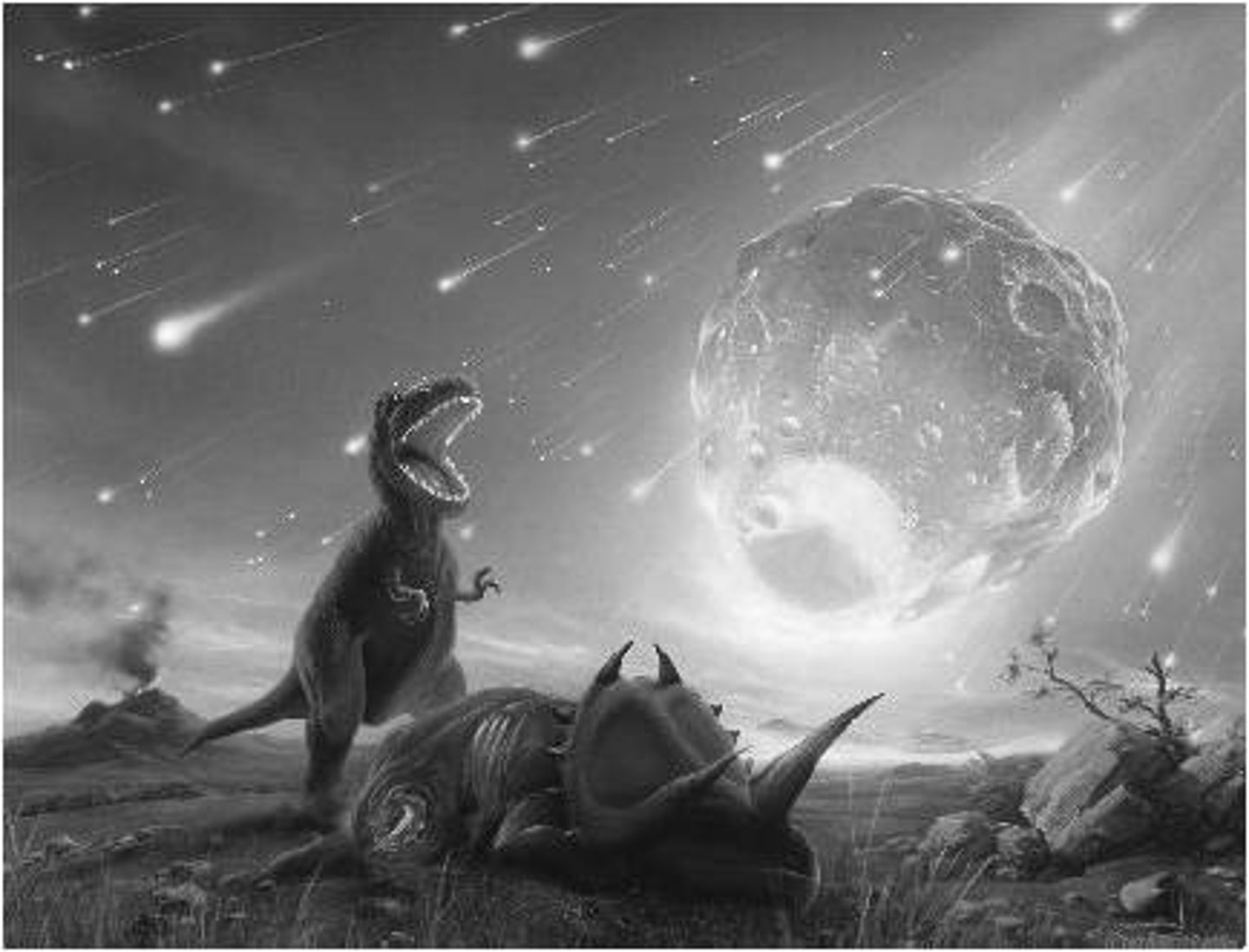 <p>describes a species of animals that once lived on Earth but which no longer exists (related word: extinction)</p>