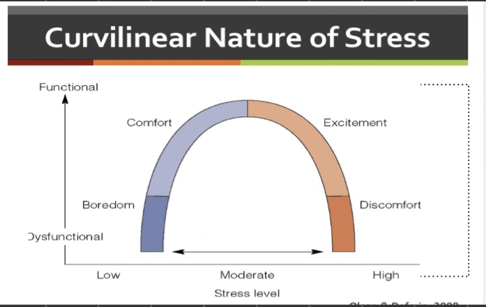 <p>Nature of stress: What is the curvilinear nature of stress?</p>