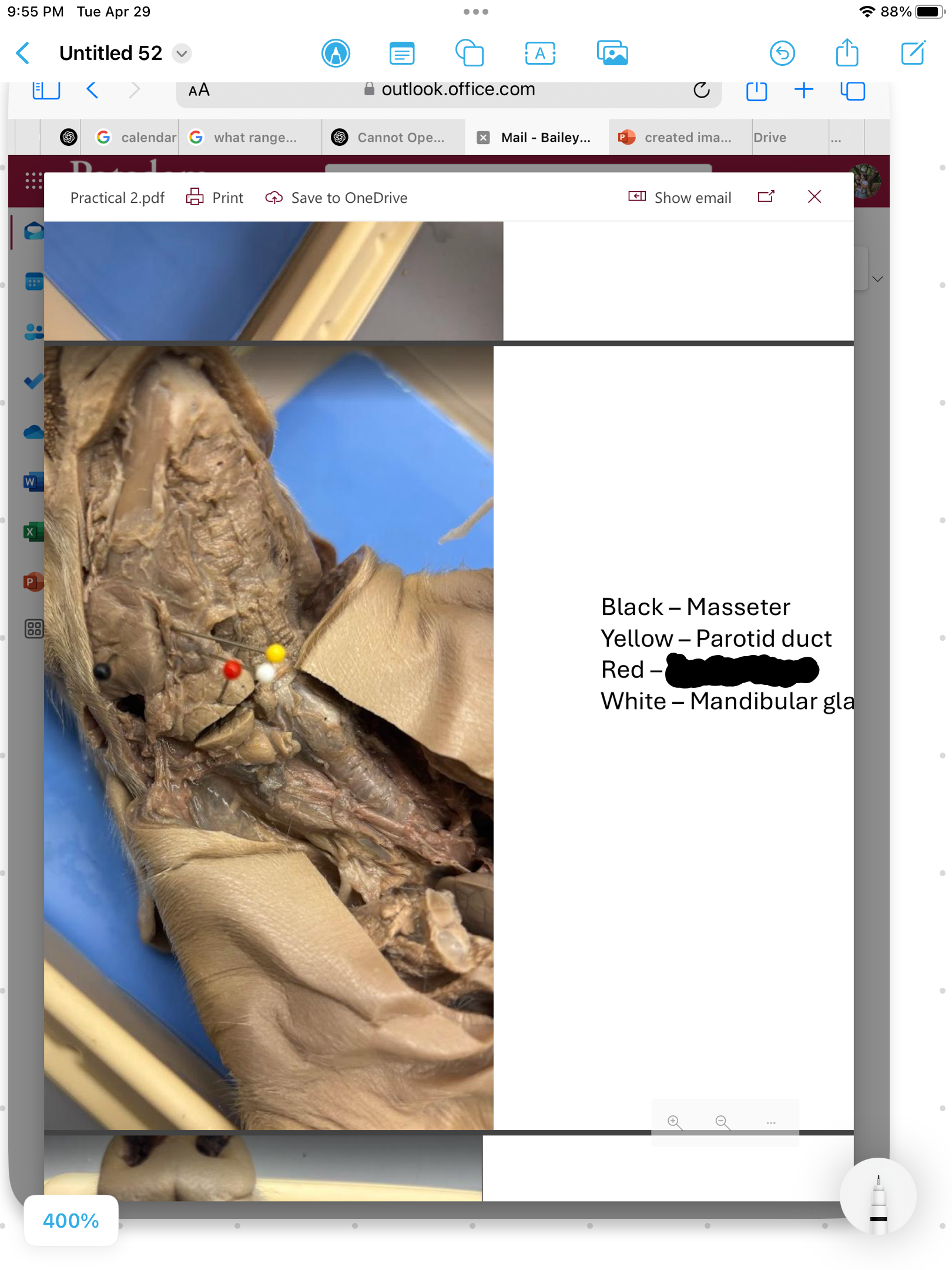 <p>label the area</p>