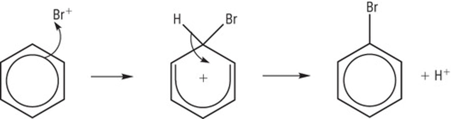 <p>Formation of electrophile: Br₂ + FeBr₃ --&gt; FeBr₄⁻ + Br⁺</p><p>Regeneration of halogen carrier; H⁺ + FeBr₄⁻ --&gt; FeBr₃ + HBr</p>