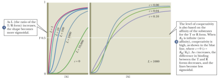 <p>-The model represents sigmoidal effects </p><p>-Higher L means favorability of free T form; also more sigmodial</p><p>-Higher C means higher affinity between S and R form less sigmoidal</p>